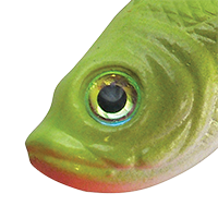 Crazy Chartreuse