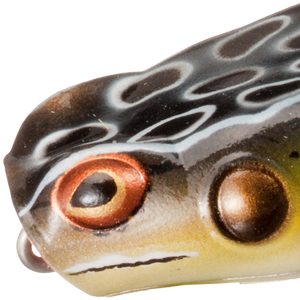 Cricket Frog