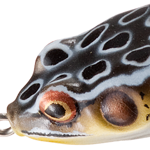 Cricket Frog