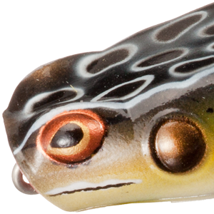 Cricket Frog
