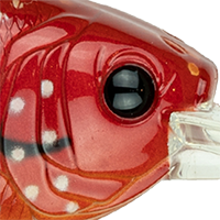Crimson Craw