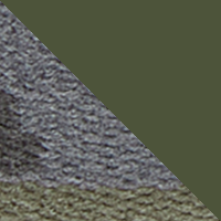 Dark Olive