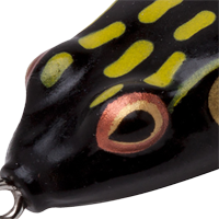 Dart Frog