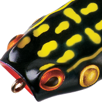 Dart Frog