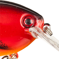 Delta Red