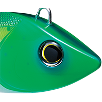 Dorado