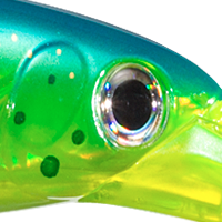 Dorado