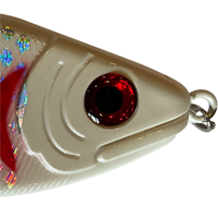 Dying Shad