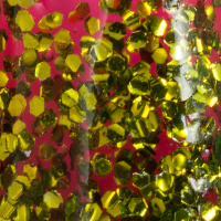 Electric Chartreuse/Hot Pink