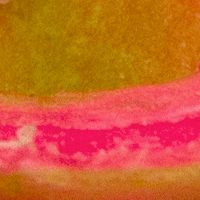 Electric Chicken - Long Lastng