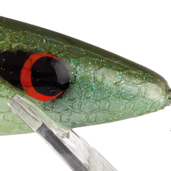 Emerald Shiner