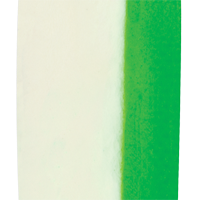 Everglo/Flo Green Stripe