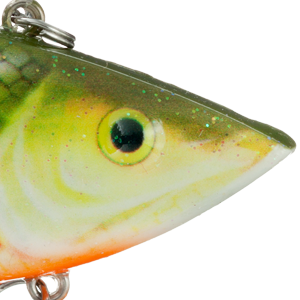 Fathead Minnow