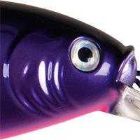 Firetail Chrome Candy