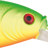 Firetail MF Hot Firetiger