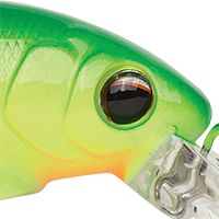 Firetiger