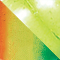 Firetiger Platinum/Chartreuse