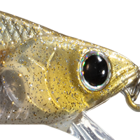 Flake Flake Golden Sexy Minnow