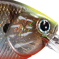 Flake Flake Kabuki Gill