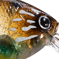 Flake Flake Striped Gill
