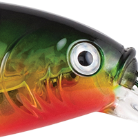 Flashy Perch