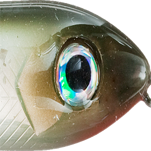 Flitter Shad