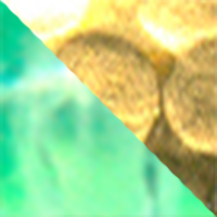 Hammered Brass/Flo Chartreuse