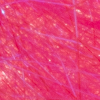 Fluorescent Hot Pink