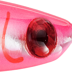 Fluorescent Hot Pink