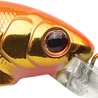 Fluorescent Orange-Gold
