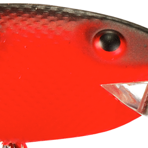 Fluorescent Red Black