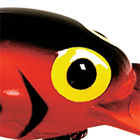 Flo Red/Black Herringbone