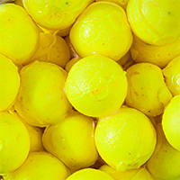 Fluorescent Yellow