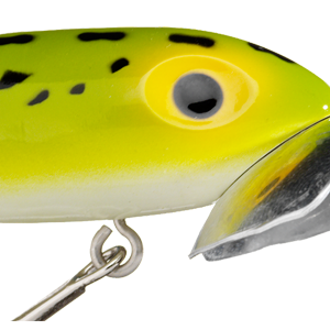 Frog/White Belly