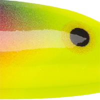 Fruit Punch