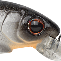 FX Shad