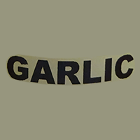 Garlic