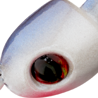 Ghost Shad