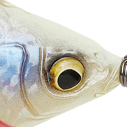 Ghost Bone