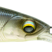 Ghost Bone Minnow