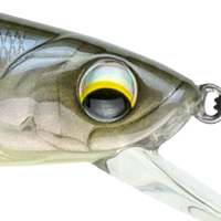 Ghost Bone Minnow
