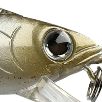 Ghost Minnow