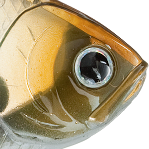 Ghost Minnow