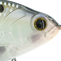 Ghost Shad Scales