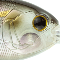 Ghost Threadfin Shad