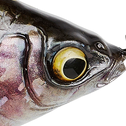 Ghost Trout