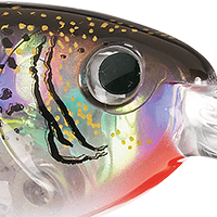 Glass Black Shad