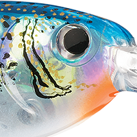 Glass Blue Shad
