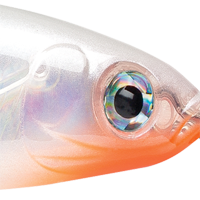Glass Ghost