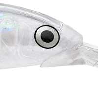 Glass Minnow